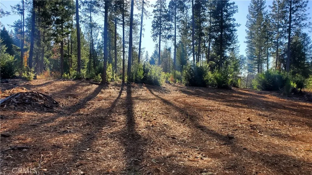 87 Coutolenc Road Magalia, CA 95954