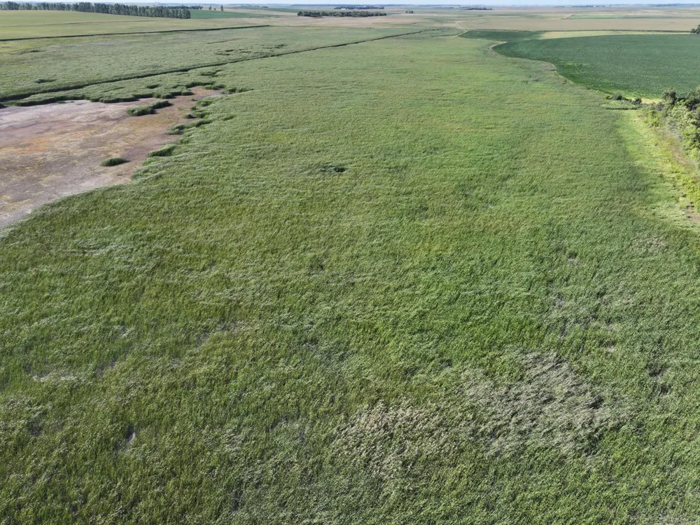 TBD State Hwy 13 Stirum, ND 58069
