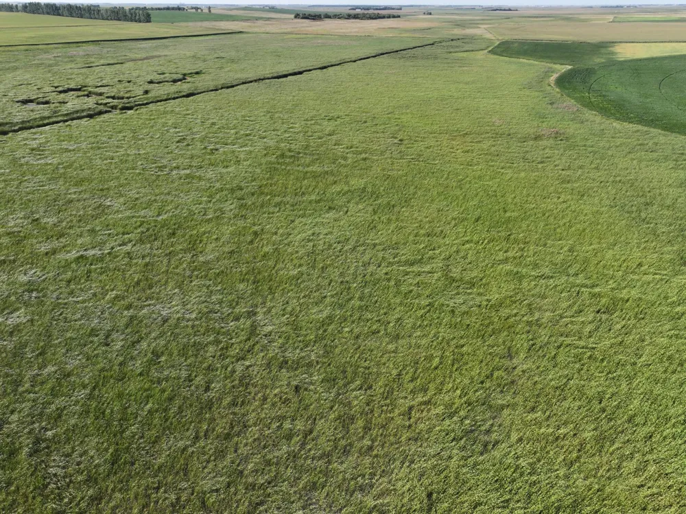 TBD State Hwy 13 Stirum, ND 58069