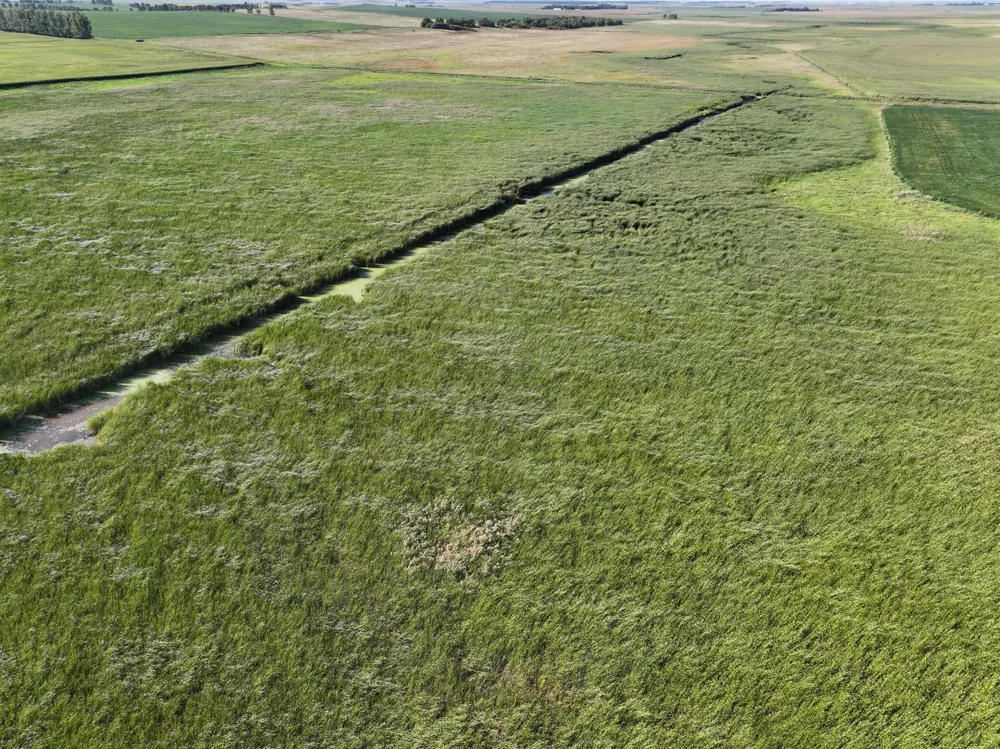 TBD State Hwy 13 Stirum, ND 58069