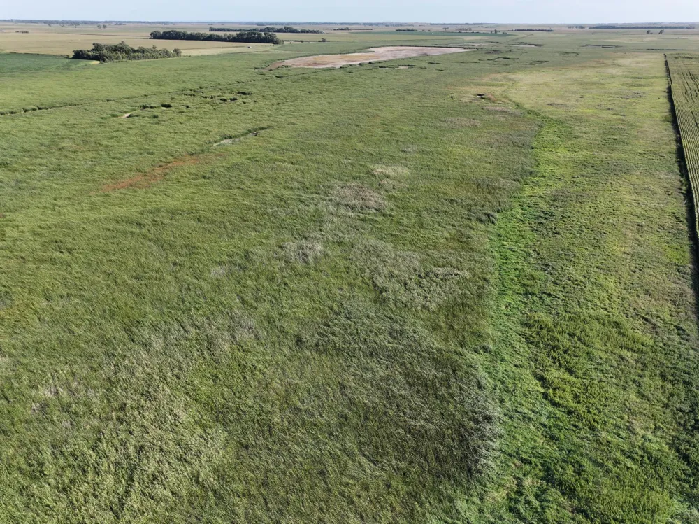 TBD State Hwy 13 Stirum, ND 58069