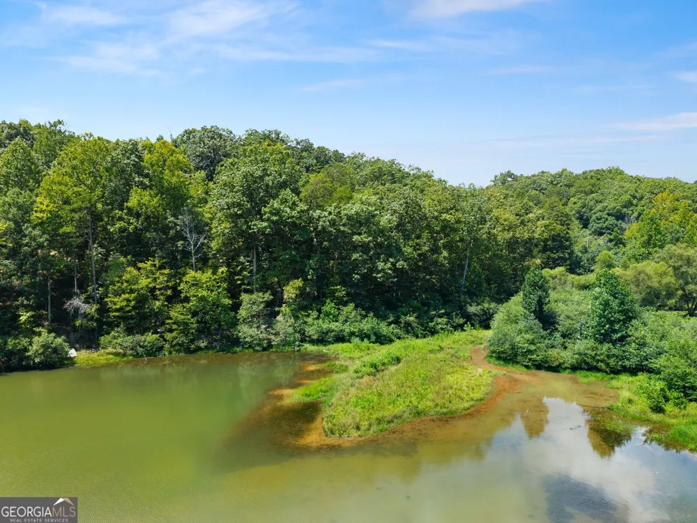 150 Lake Ridge TRL Baldwin, GA 30511