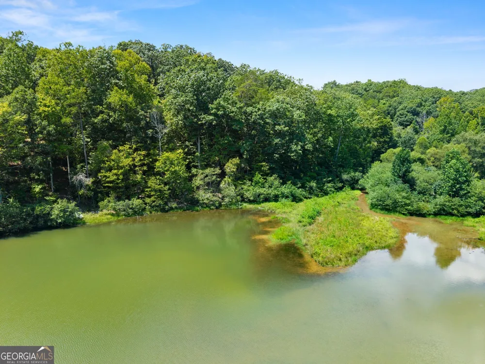 150 Lake Ridge TRL Baldwin, GA 30511