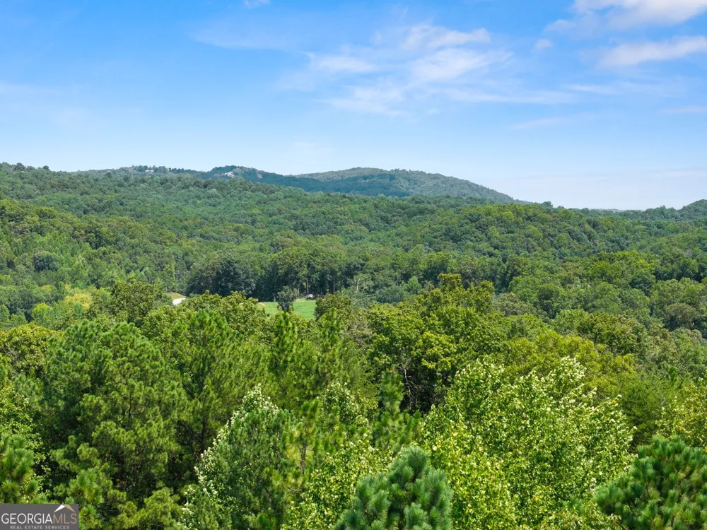 150 Lake Ridge TRL Baldwin, GA 30511
