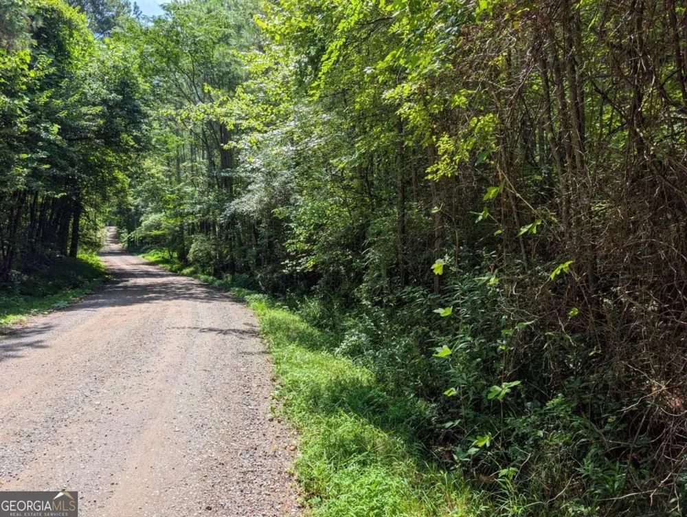 LT 4&5 Belltown RD Copperhill, TN 37317