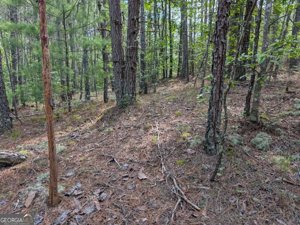 LT 4&5 Belltown RD Copperhill, TN 37317