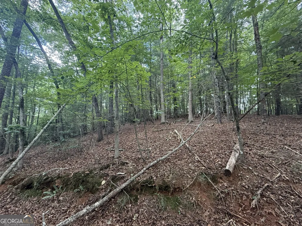 0 Yahoola Indian TRL Dahlonega, GA 30533