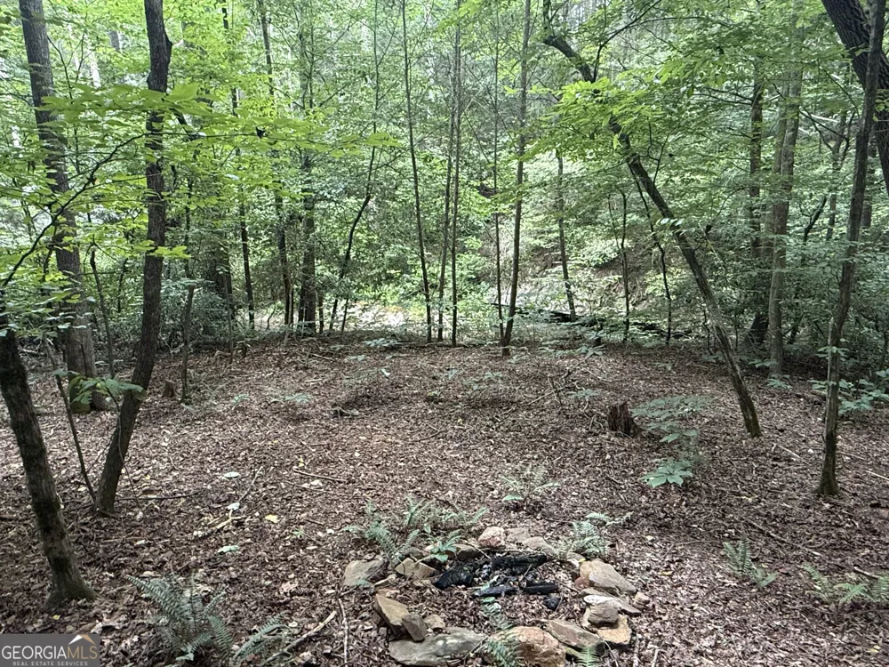 0 Yahoola Indian TRL Dahlonega, GA 30533