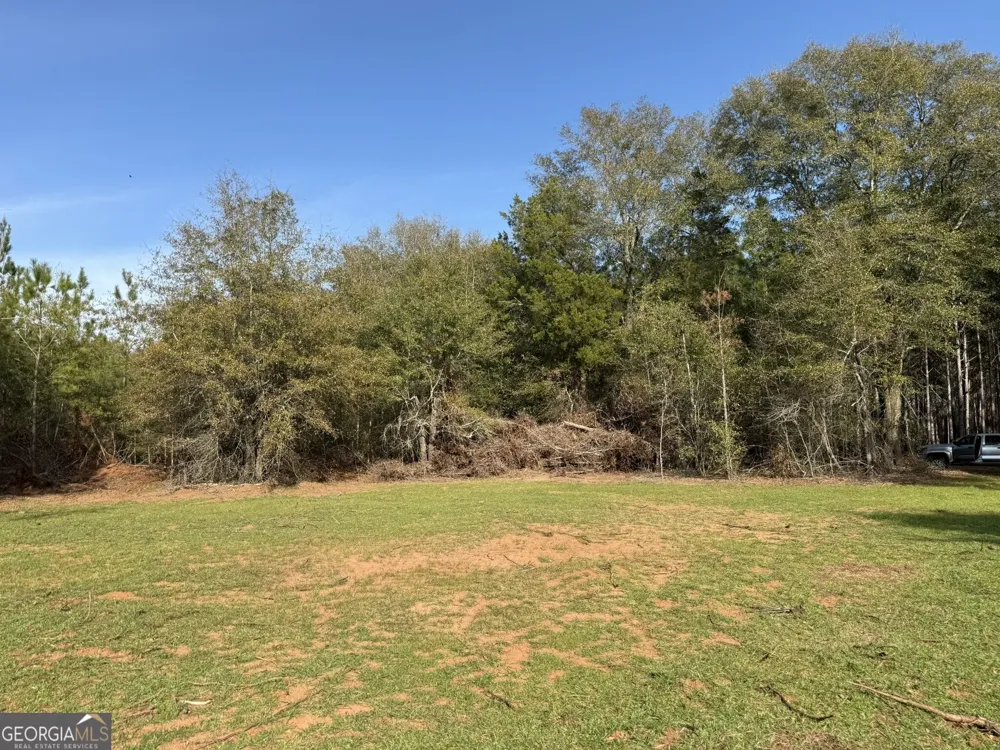 006 State Route 45 Plains, GA 31780