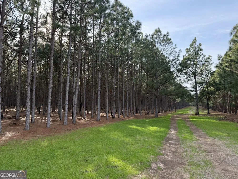 006 State Route 45 Plains, GA 31780