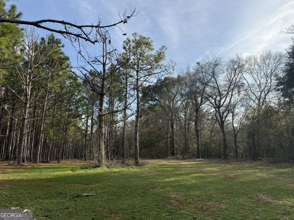 006 State Route 45 Plains, GA 31780