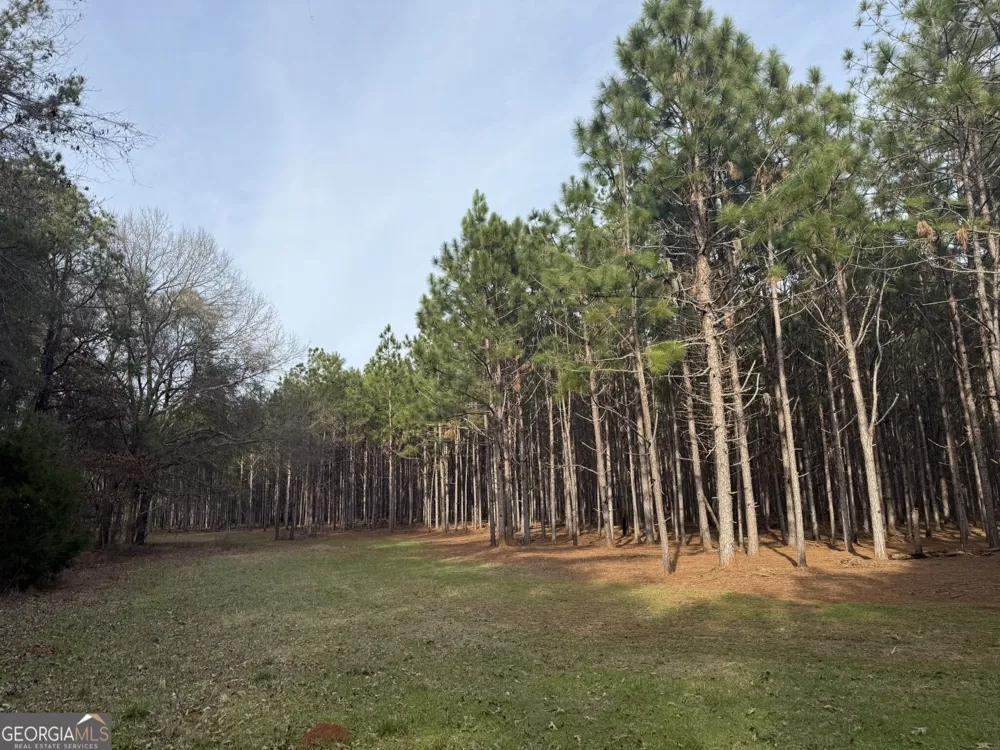 006 State Route 45 Plains, GA 31780