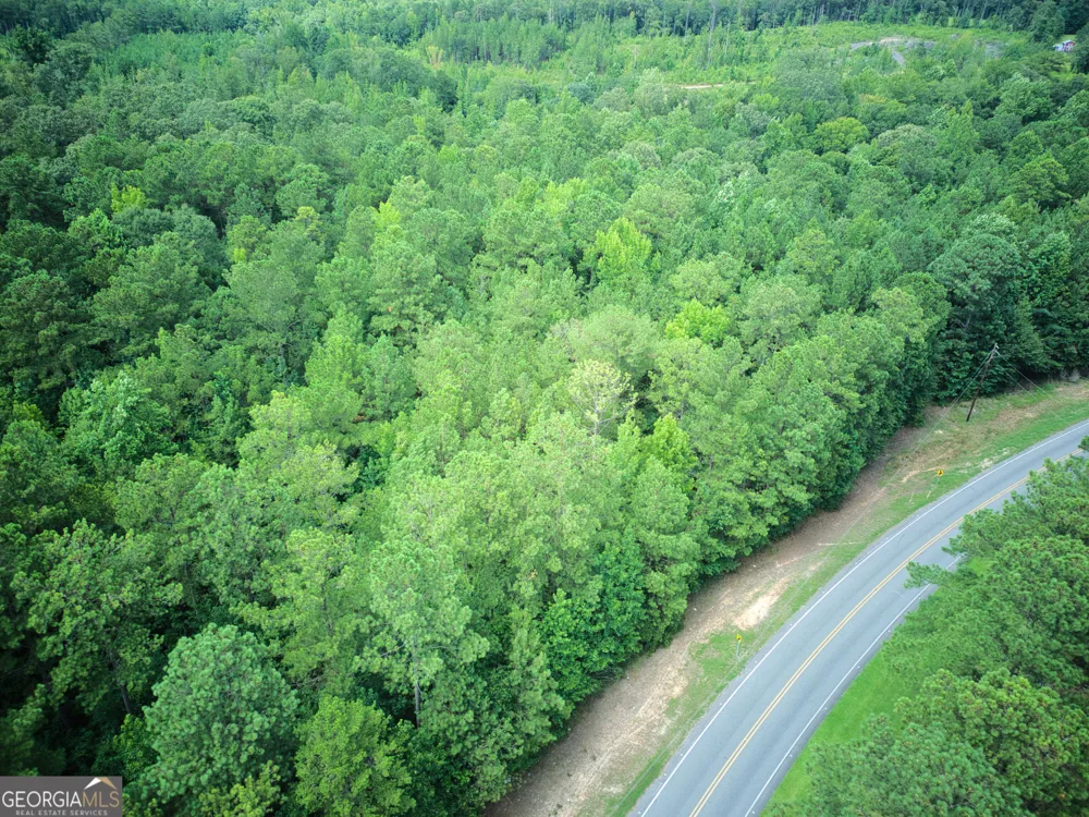 0 PARCEL 200 Judge Brown RD Valley, AL 36854