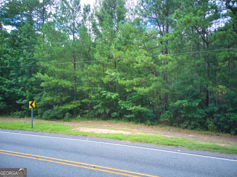 0 PARCEL 200 Judge Brown RD Valley, AL 36854