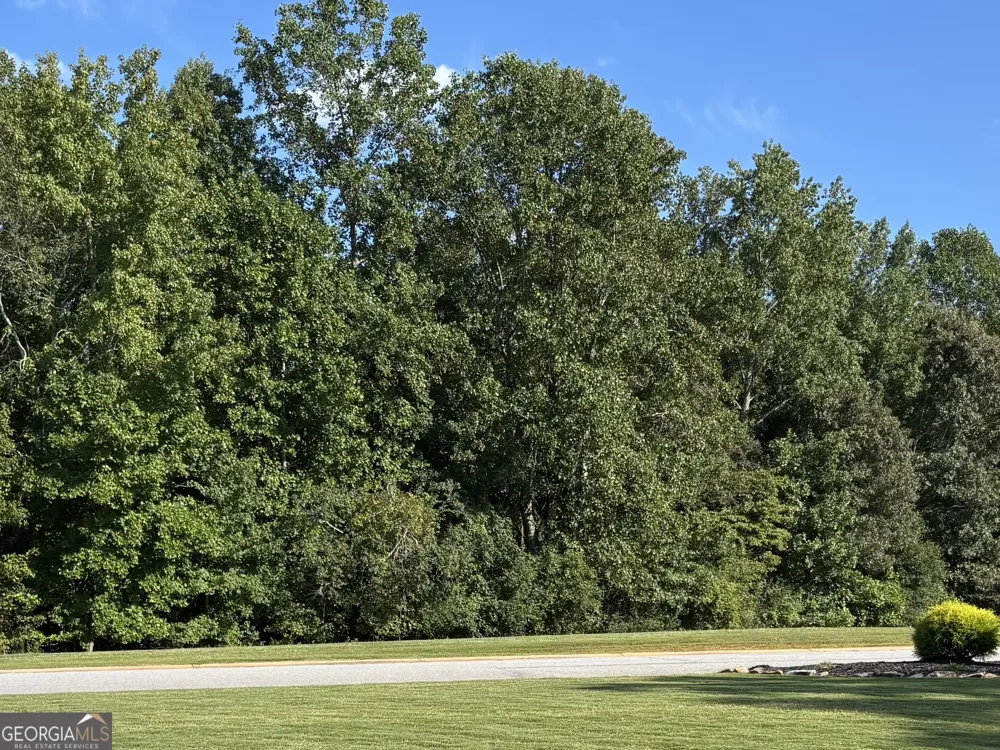 0 Samson WAY Cleveland, GA 30528