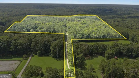 38.682 ACRES Btwn 446 & 478 Rising Star RD