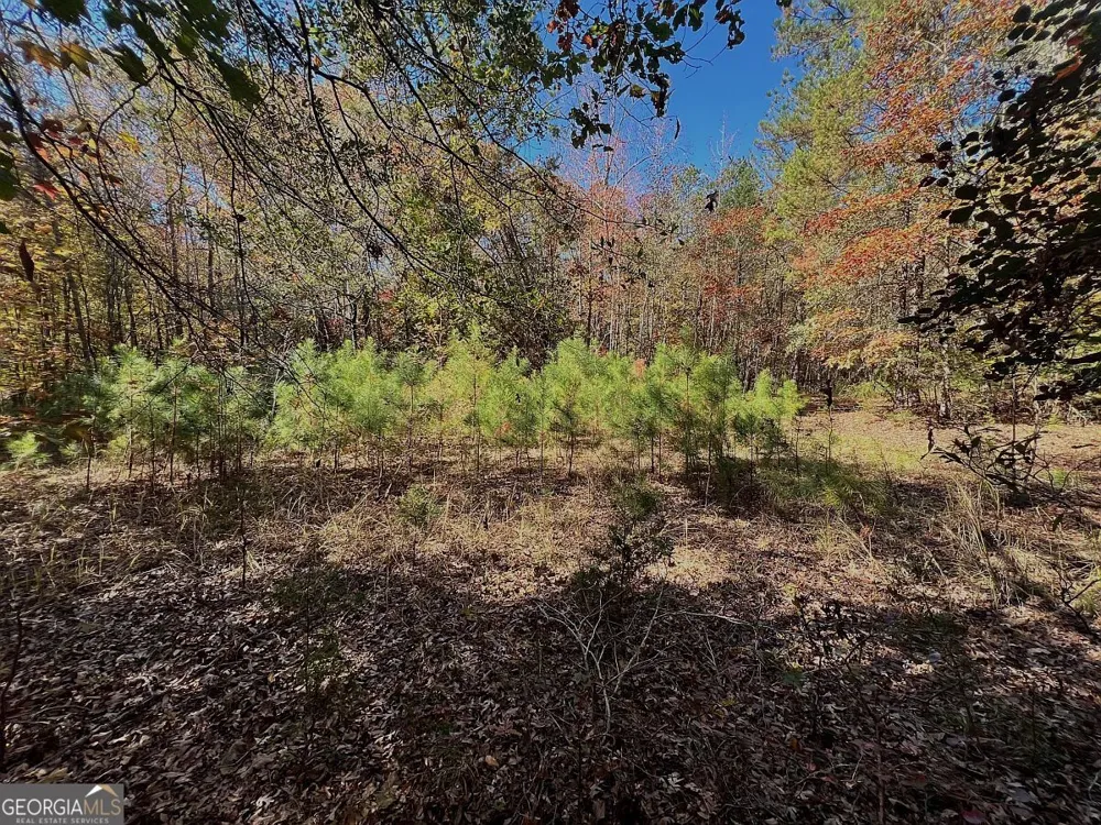 17.86AC Pine Ridge DR Elberton, GA 30635