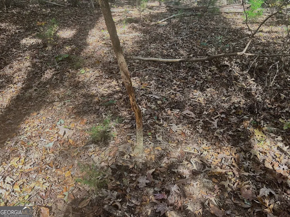 17.86AC Pine Ridge DR Elberton, GA 30635