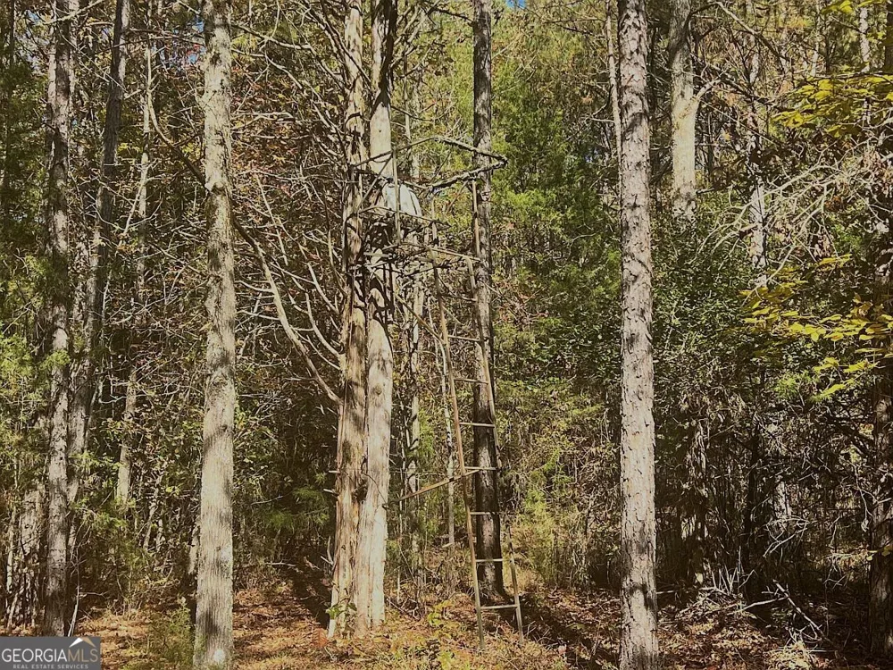 17.86AC Pine Ridge DR Elberton, GA 30635