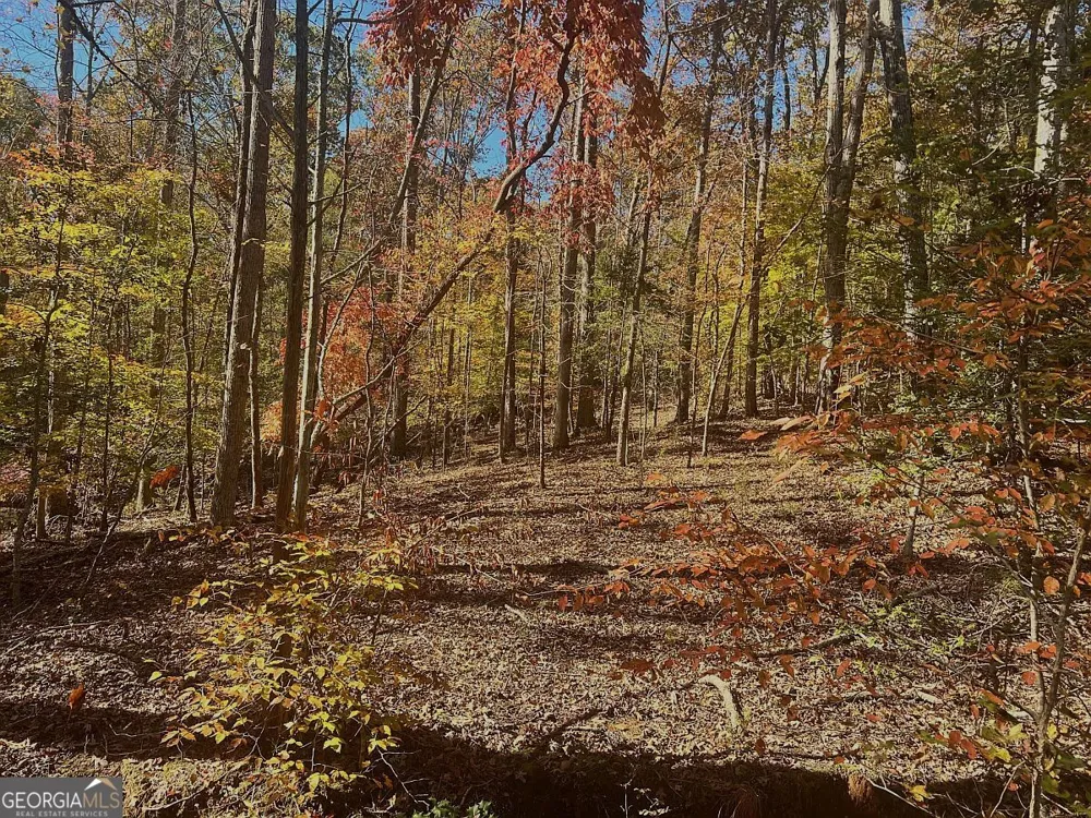 17.86AC Pine Ridge DR Elberton, GA 30635