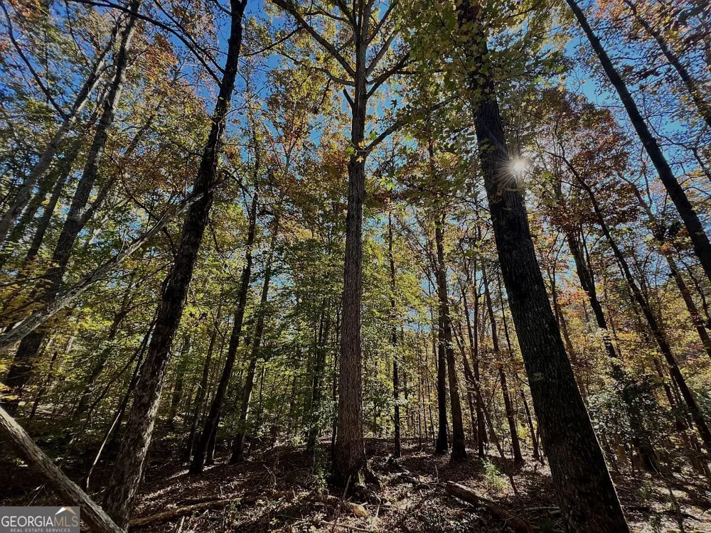 17.86AC Pine Ridge DR Elberton, GA 30635