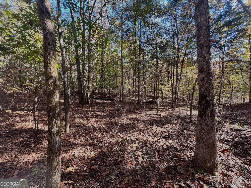 17.86AC Pine Ridge DR Elberton, GA 30635