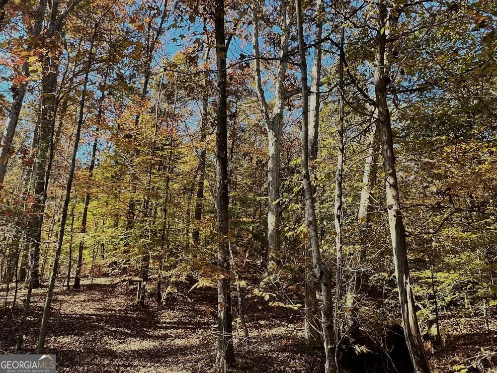 17.86AC Pine Ridge DR Elberton, GA 30635