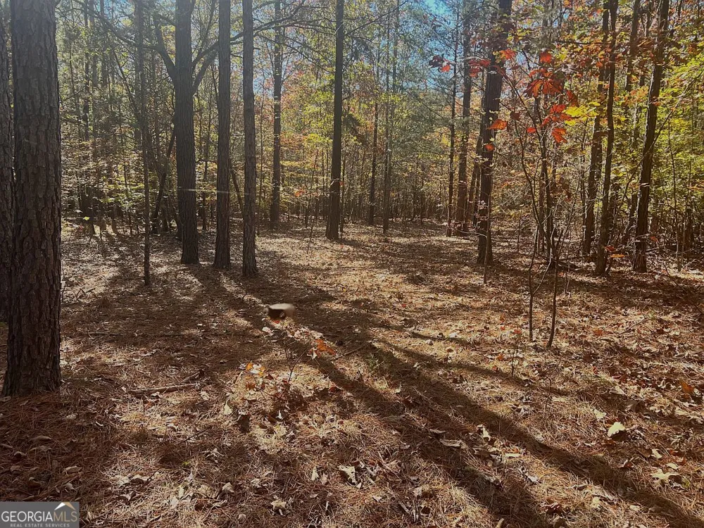 17.86AC Pine Ridge DR Elberton, GA 30635