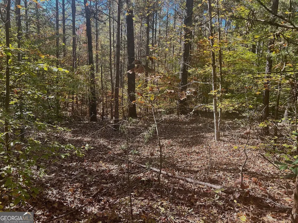 17.86AC Pine Ridge DR Elberton, GA 30635