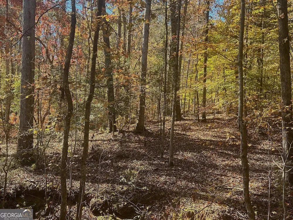 17.86AC Pine Ridge DR Elberton, GA 30635
