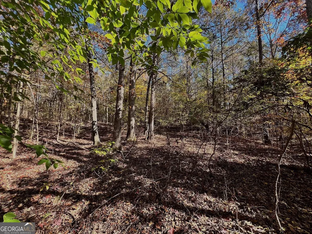 17.86AC Pine Ridge DR Elberton, GA 30635