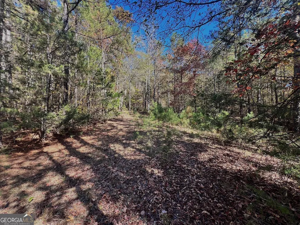 17.86AC Pine Ridge DR Elberton, GA 30635