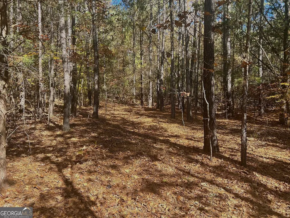17.86AC Pine Ridge DR Elberton, GA 30635
