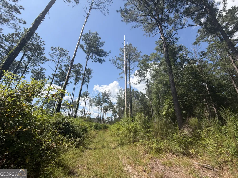 10 Sunhill Grange RD Davisboro, GA 31018