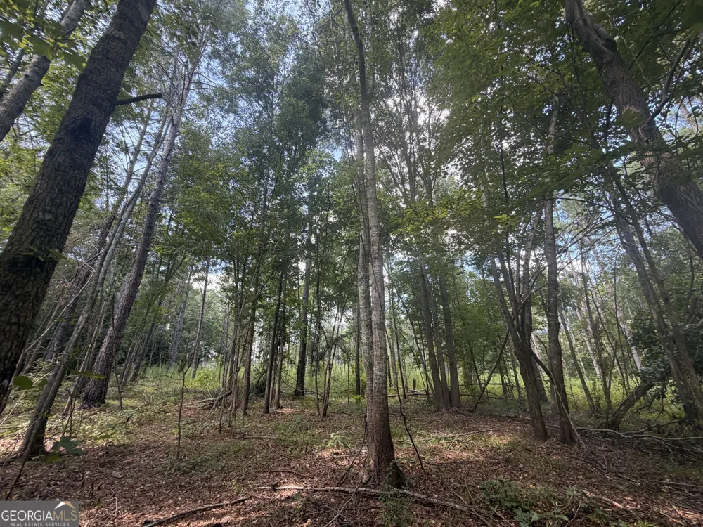 10 Sunhill Grange RD Davisboro, GA 31018
