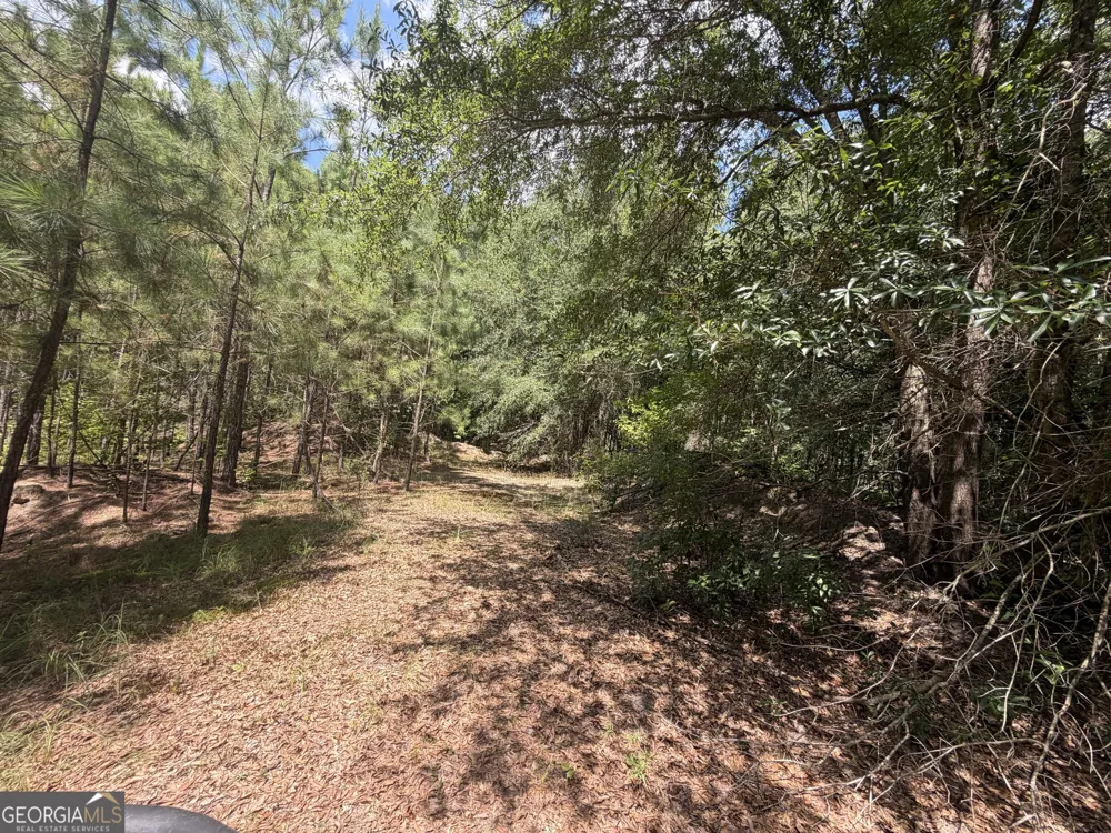 10 Sunhill Grange RD Davisboro, GA 31018