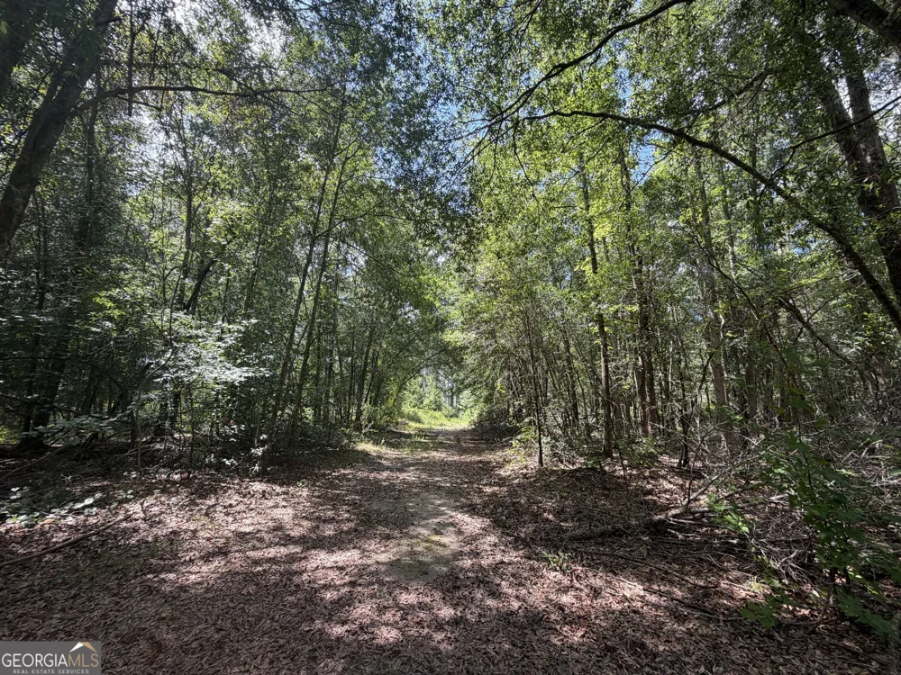 10 Sunhill Grange RD Davisboro, GA 31018