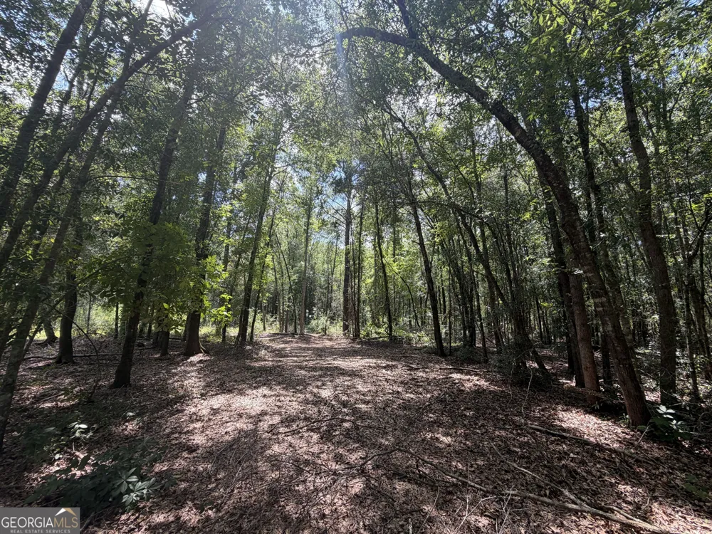 10 Sunhill Grange RD Davisboro, GA 31018