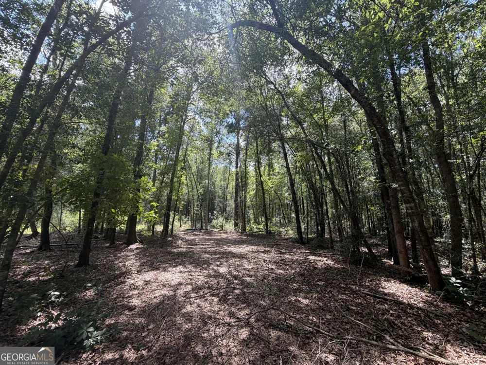 10 Sunhill Grange RD Davisboro, GA 31018