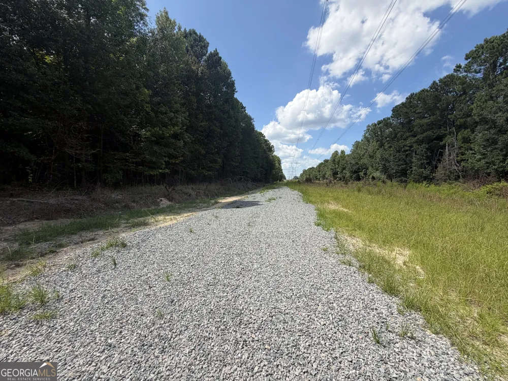 10 Sunhill Grange RD Davisboro, GA 31018
