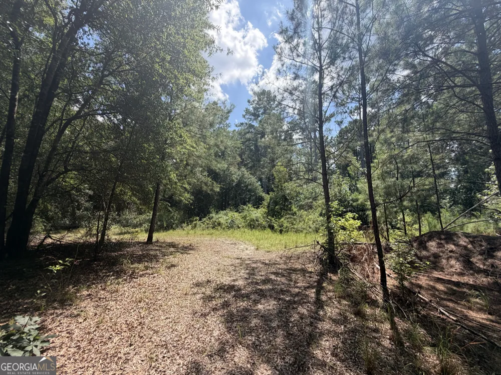 10 Sunhill Grange RD Davisboro, GA 31018