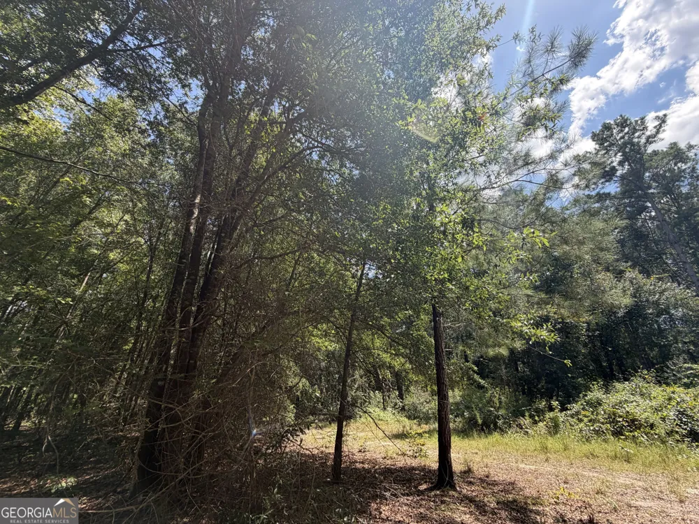10 Sunhill Grange RD Davisboro, GA 31018