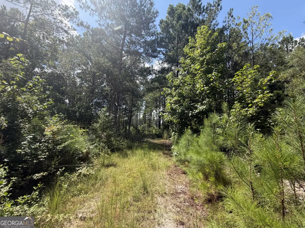 10 Sunhill Grange RD Davisboro, GA 31018