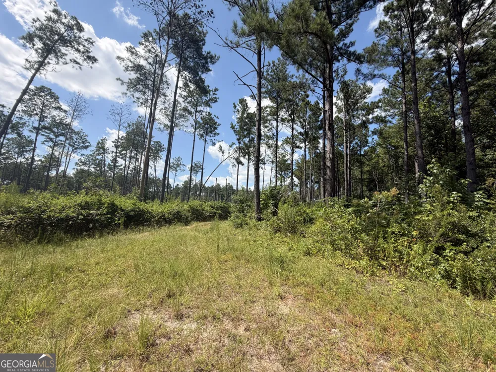 10 Sunhill Grange RD Davisboro, GA 31018