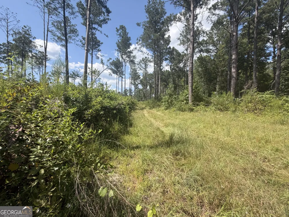 10 Sunhill Grange RD Davisboro, GA 31018