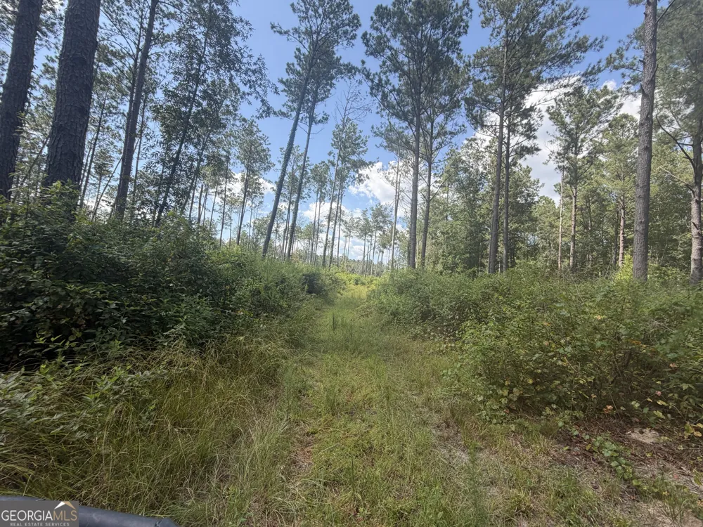 10 Sunhill Grange RD Davisboro, GA 31018