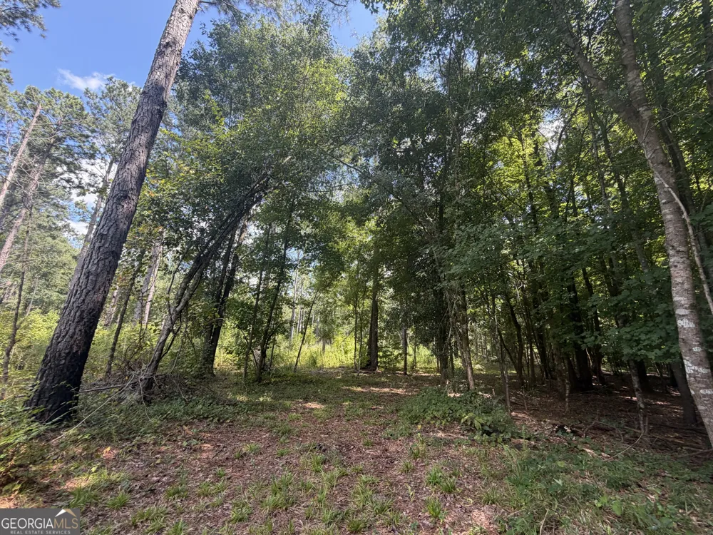 10 Sunhill Grange RD Davisboro, GA 31018