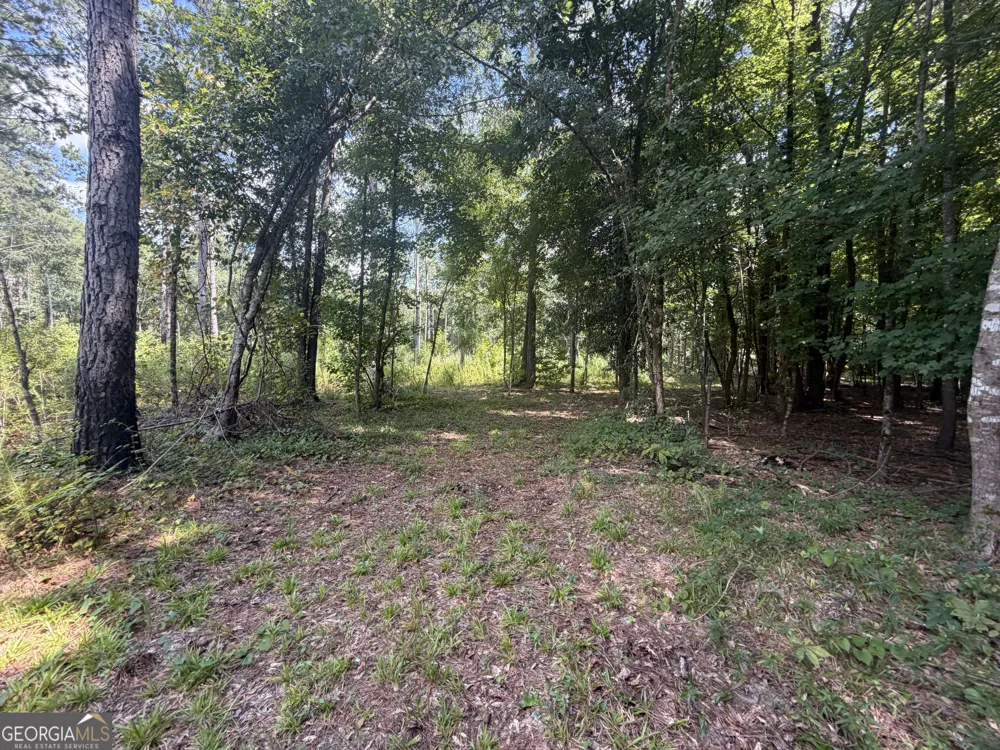 10 Sunhill Grange RD Davisboro, GA 31018
