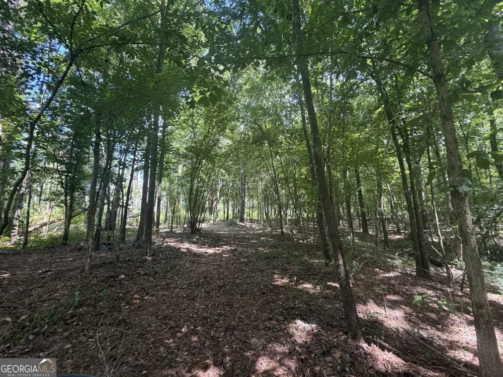 10 Sunhill Grange RD Davisboro, GA 31018