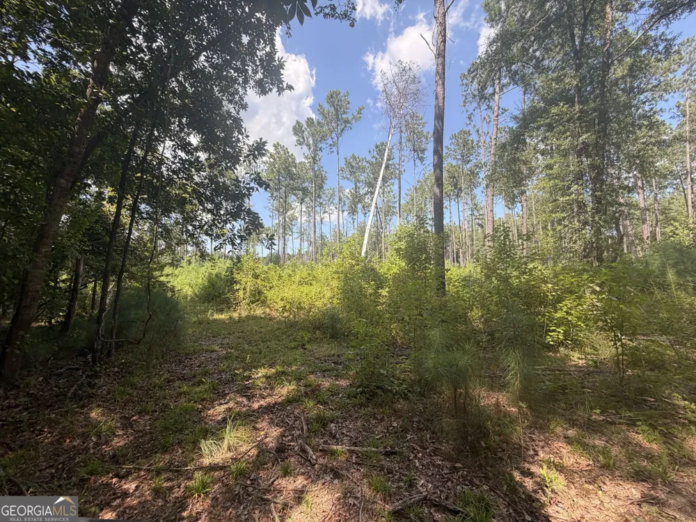 10 Sunhill Grange RD Davisboro, GA 31018